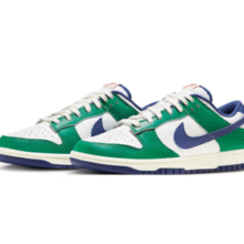 NIKE 耐克 板鞋男休闲鞋 DUNK缓震舒适运动鞋 FQ6849-141白￥351.82