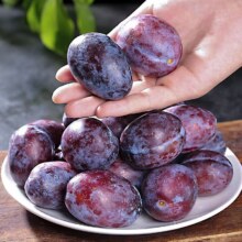 【精选优品】陕西现摘鲜果西梅 5斤带箱 净重4.5斤 精品装 单果20g+20.9元