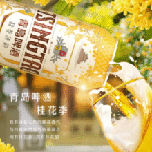 全麦古法精酿！TsingTao 青岛啤酒 桂香诗韵 桂花味白啤酒500mL*12罐整箱 赠手撕牛肉干50g￥59.15 6.0折 比上一次爆料上涨 ￥1.1