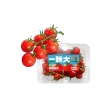 再降价、PLUS会员：京鲜生&一颗大 樱桃番茄 爆汁西红柿净重836g 散粒散串混发 源头直发10.99元包邮