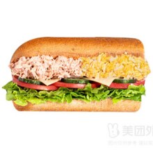 SUBWAY赛百味 香溢金枪鱼双拼三明治兑换券·1张19元