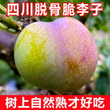 果当爱 正宗四川脱骨李 净4.5斤15.2元（需领券）