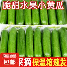 1 自营 黄瓜 精品水果黄瓜净重 4.5斤券后12.9元