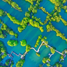 浙江文旅惠民卡-旅游年卡基础版  西溪湿地.下渚湖奇幻谷.猪猪星球.古堰画乡等100+景区全年畅玩51.9元
