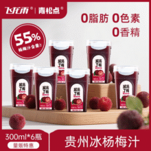 飞龙雨杨梅汁 解渴了梅 贵州高山苗寨冰杨梅 果蔬汁饮料 解腻饮品17.9元 (券后省22)