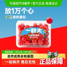 88VIP会员：一颗大 樱桃番茄458g*4盒券后23.06元