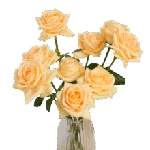 京东鲜花玫瑰花蜜桃雪山10枝9.9元（需换购）