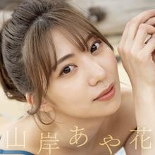 PaPaKey PaPaKey 山岸逢花真人倒模79.05元