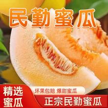 花慕辰 正宗 甘肃民勤 沙漠 黄金蜜瓜 4.5斤装12.95元（需买2件，需用券）