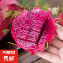云南红肉火龙果 新鲜采摘现摘现发 1粒装 单果 300g+*2件3.98元（合1.99元/件）买一送一