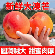 北森南屿新鲜云南澳芒大芒果生熟两吃热带水果当季现摘新鲜水果产地直发 净重5斤大果（单果约300g+）13.79元
