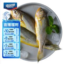 海名威 冷冻东海小黄鱼1斤 16-20条 生鲜鱼类 海鲜水产 烧烤14.72元