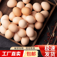 谷物鲜鸡蛋 农户散养新鲜鸡蛋 单枚40g±5 10枚（40克/枚）2.47元