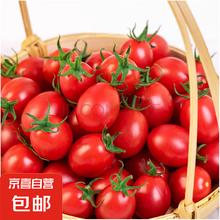 临期白 菜！Nature Made 天维美 维生素C香橙味软糖80粒￥9.92