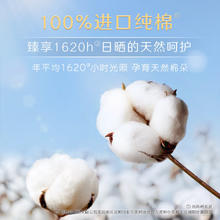 高洁丝 放肆睡臻选全系列棉柔花瓣扇尾 日夜用卫生巾