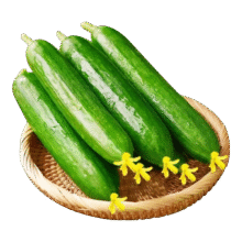 荷兰水果黄瓜新鲜黄瓜甜脆荷兰蔬菜农家自种生吃无刺脆嫩小青瓜 荷兰黄瓜净重2斤单根≥90g2.9元（需领券）