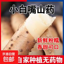 京喜 白嘴山药 国产 正宗小白嘴山药 250g 10cm-15cm0.01元