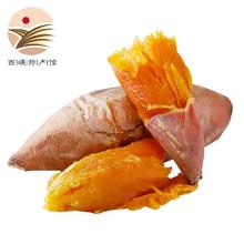 静益乐源 龙九黄心蜜薯 红薯地瓜 9斤大果