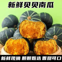 其它 产地直发 真贝贝南瓜 栗香小南瓜 粉糯老瓜 4.5斤