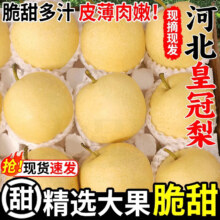 粤迎 河北皇冠梨 净4.5-5斤精选果【单果150g+】10.9元