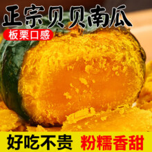 粤迎山东贝贝南瓜板栗味小南瓜香甜软糯宝宝辅食美味早餐好吃粗粮南瓜 5斤 精选装【香甜粉糯】净4.5斤8元（需领券）