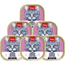 顽皮 猫罐头零食猫餐盒40g*6罐 金枪鱼三文鱼口味8.06元（需领券）
