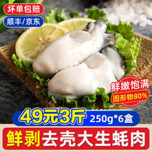 一虾一世界 现剥大号生蚝肉 3斤装券后47.9元