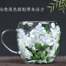八玺 BAXI 双层玻璃杯 白绿花 鲜花杯 250ml1只