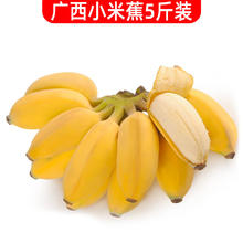 静益乐源 新鲜广西小米蕉 5斤装7.4元