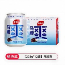 88VIP：杨协成 马蹄荸荠饮料 228g*12罐