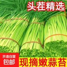 京喜加 新鲜蒜苔 新鲜蒜苔 1斤