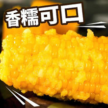 京喜 东北 黄糯玉米棒 120-160克 4根0.99元