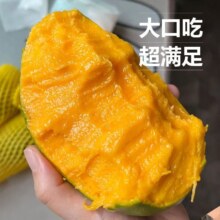 现摘攀枝花凯特芒果特大芒果新鲜水果应季大果 2.5kg 450g7.47元（需领券）