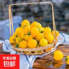 阳光小番茄黄色圣女果 1斤