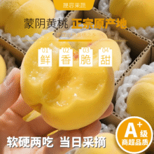晟容果蔬 黄桃 4.5-5斤、单果100g+