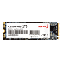 长城（Great Wall）SSD固态硬盘M.2接口(NVMe协议)PCIe3.0x4 P300系列台式笔记本通用硬盘 畅玩游戏 P300-256G 固态硬盘