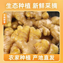 京喜加 源头直发小黄姜新鲜 高山小黄姜 250g券后1元