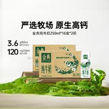 金典 旗舰店纯牛奶250ml*16盒*2箱伊利牛奶整箱送礼3.6g乳蛋白MS74.8元