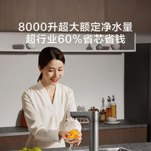 京东京造 零陈水净水器 家用净水机 灵犀1000GProMa