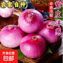 精选洋葱带箱 500g0.94元