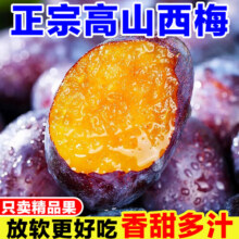 庾丰当季现摘西梅 新鲜水果 孕妇蓝蜜法兰西梅团购送礼 5斤装（净果4.5斤）果王29.8元 (满29减7,月销3000+)