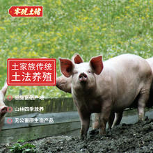 零號土猪 零号土猪恩施土猪年猪5999元套餐约170斤 农家散养正宗年猪新鲜猪源头直发 特惠价3999元