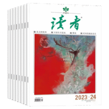 读者+意林+青年文摘 新期组合/全年订阅可选 小学初中高中满分作文素材 课外阅读 过刊清仓 【随机打包共10本】2024年读者