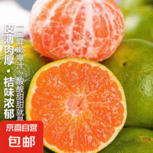 兀果语2025年云南密桔酸桔子当季薄皮橘子孕妇新鲜水果爆汁无核青 5斤15元 (每满300减30,月销1w+)