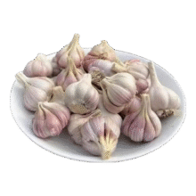 新鲜干蒜即食水果大蒜蔬菜小龙虾生蚝调料蒜 新干大蒜 2斤 含箱4.99元