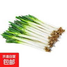 无品牌 国产大葱 3斤 新鲜蔬菜2.49元