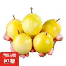 京喜加 正宗云南百香果钦蜜9号黄金百香果旺久产地直发 5颗0.95元