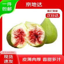 京地达 山东威海青皮无花果 净重2斤 单果30g起 新鲜水果 源头直发 包邮49.8元