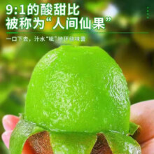 湘西绿心猕猴桃 5斤带箱【净重4.5-4.7斤】 优选装单果70-90g13.7元