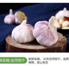 20点：山东大蒜干蒜新鲜白皮精品大蒜 大蒜6-7头 200g 中果4-4.5厘米2.95元/件包邮（买一送一实付5.9元（赠送主商品）